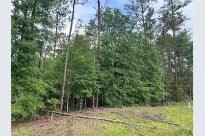 Parcel 1 Everett Wood Road, Oglethorpe, GA 31068 - Photo 5