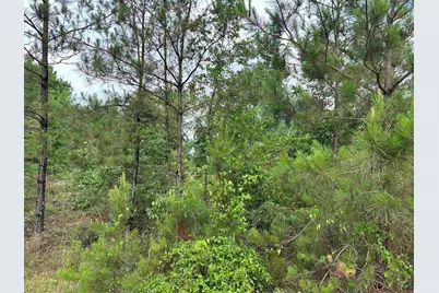 Parcel 2 Everett Wood Road, Oglethorpe, GA 31068 - Photo 1