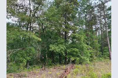 Parcel 2 Everett Wood Road, Oglethorpe, GA 31068 - Photo 3