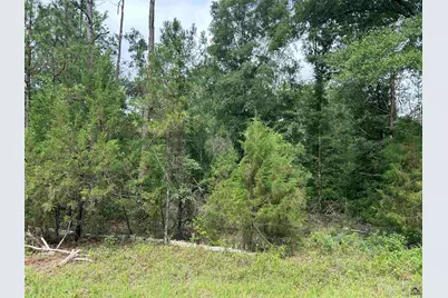 Parcel 2 Everett Wood Road, Oglethorpe, GA 31068 - Photo 5