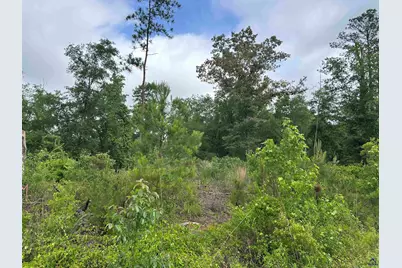 Parcel 3 Everett Wood Road, Oglethorpe, GA 31068 - Photo 7
