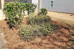 223 Flowing Meadows Dr, Kathleen, GA 31047 - Photo 23