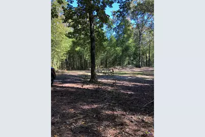 215 Webb Street, Warner Robins, GA 31093 - Photo 5