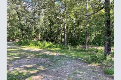669 Flint River Estates, Roberta, GA 31078 - Photo 15