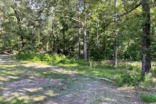 669 Flint River Estates, Roberta, GA 31078 - Photo 15