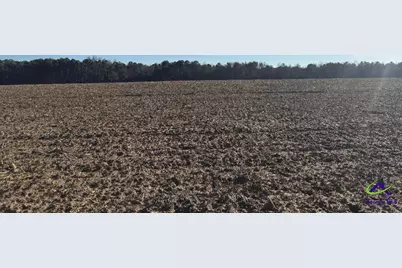 0 Whitfield Road, Elko, GA 31025 - Photo 1