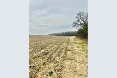 0 Whitfield Road, Elko, GA 31025 - Photo 5