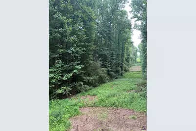 0 Robinson Street, Franklin, GA 30217 - Photo 3