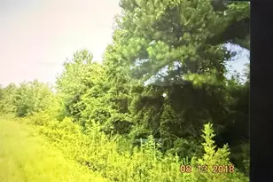 C017 020 Whitikar Rd, Roberta, GA 31078 - Photo 1
