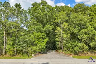 3826 Boy Scout Rd, Byron, GA 31008 - Photo 49
