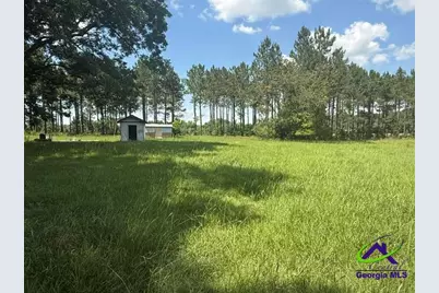 126 Gooseneck Lane, Hawkinsville, GA 31036 - Photo 3