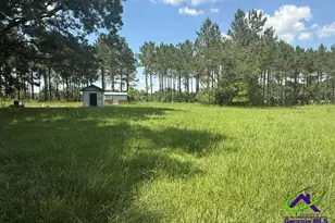 126 Gooseneck Ln, Hawkinsville, GA 31036 - Photo 3