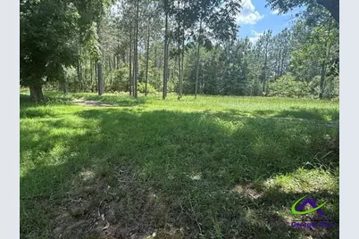 126 Gooseneck Lane, Hawkinsville, GA 31036 - Photo 5
