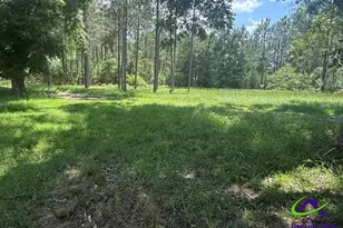126 Gooseneck Ln, Hawkinsville, GA 31036 - Photo 5