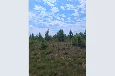 0 Abbeville Highway, Eastman, GA 31023 - Photo 1
