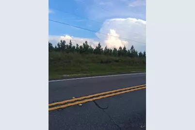 0 Abbeville Highway, Eastman, GA 31023 - Photo 3
