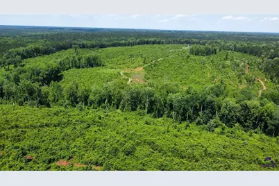 Sugar Hill Rd, Monticello, GA 31064 - Photo 3