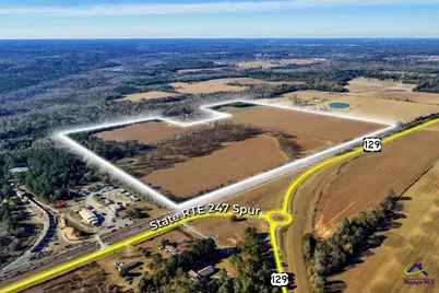 Sandbed Road/Hwy 247 Road, Kathleen, GA 31047 - Photo 23