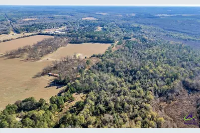 Sandbed Road/Hwy 247 Road, Kathleen, GA 31047 - Photo 5
