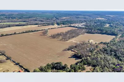 Sandbed Road/Hwy 247 Road, Kathleen, GA 31047 - Photo 3