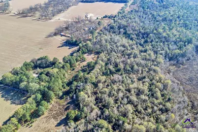 Sandbed Road/Hwy 247 Road, Kathleen, GA 31047 - Photo 11