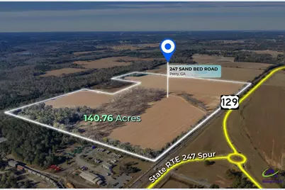 Sandbed Road/Hwy 247 Road, Kathleen, GA 31047 - Photo 19