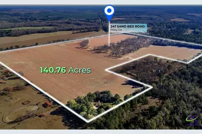 Sandbed Road/Hwy 247 Road, Kathleen, GA 31047 - Photo 7