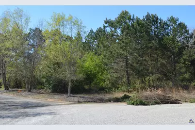 Jim Mason Court, Warner Robins, GA 31088 - Photo 11