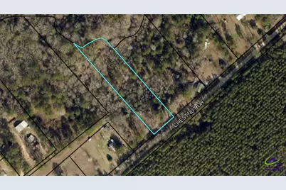 0 Chestnut Drive, Eastman, GA 31023 - Photo 3