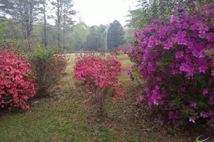 148 Homestead Dr, Gray, GA 31032 - Photo 37