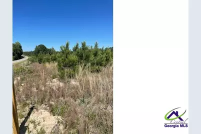 00 Abbevile Highway, Eastman, GA 31023 - Photo 5