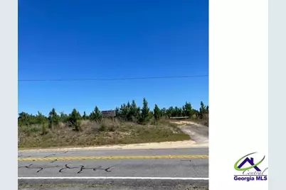 00 Abbevile Highway, Eastman, GA 31023 - Photo 3