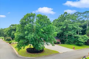 110 Governers Walk, Kathleen, GA 31047 - Photo 59