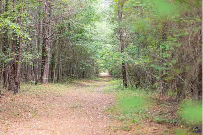 2050 Bible Camp Road, Byron, GA 31008 - Photo 71