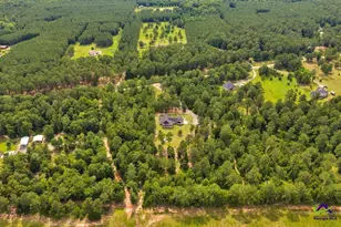 111 Brown Hill Rd, Elko, GA 31025 - Photo 71