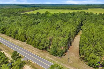 912 Buena Vista Highway, Mauk, GA 31058 - Photo 19