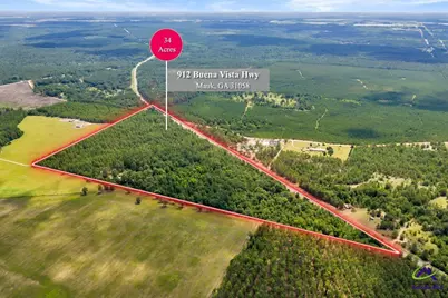 912 Buena Vista Highway, Mauk, GA 31058 - Photo 3