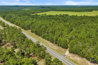 912 Buena Vista Highway, Mauk, GA 31058 - Photo 17