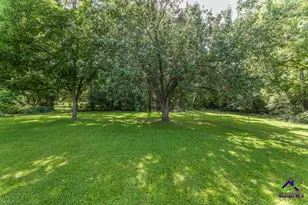 107 S Springs Dr, Bonaire, GA 31005 - Photo 29