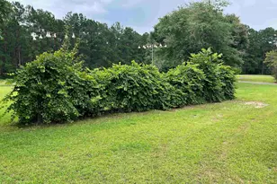 214 Country Club Cir, Cochran, GA 31014 - Photo 51