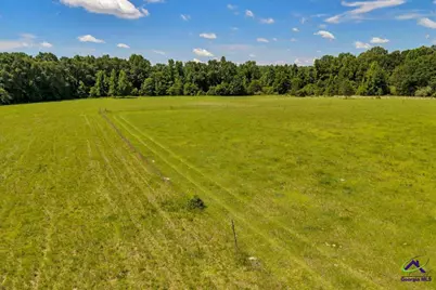 0 Sandbed Road, Kathleen, GA 31047 - Photo 27