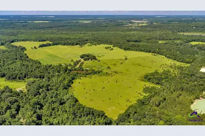 0 Sandbed Road, Kathleen, GA 31047 - Photo 9