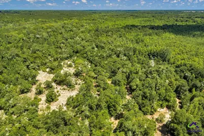 0 Sandbed Road, Kathleen, GA 31047 - Photo 23