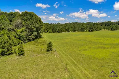 0 Sandbed Road, Kathleen, GA 31047 - Photo 29