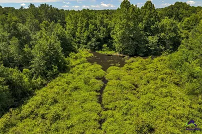 0 Sandbed Road, Kathleen, GA 31047 - Photo 37