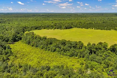 0 Sandbed Road, Kathleen, GA 31047 - Photo 35