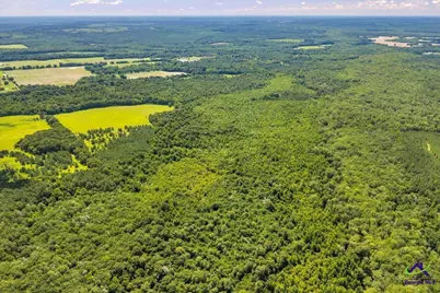 0 Sandbed Road, Kathleen, GA 31047 - Photo 17