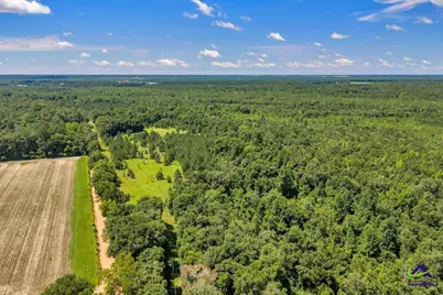 0 Sandbed Road, Kathleen, GA 31047 - Photo 39