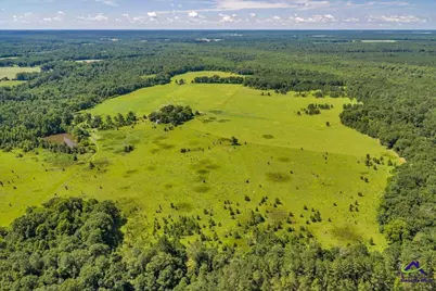 0 Sandbed Road, Kathleen, GA 31047 - Photo 11