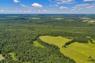 0 Sandbed Road, Kathleen, GA 31047 - Photo 15